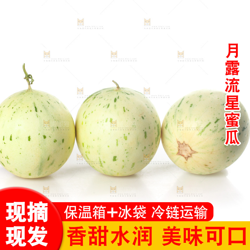 白底上的月露流星蜜瓜