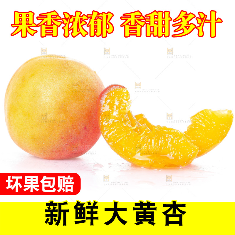 白底上的大黄杏