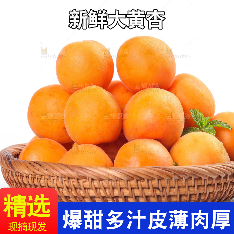 白底上的大黄杏