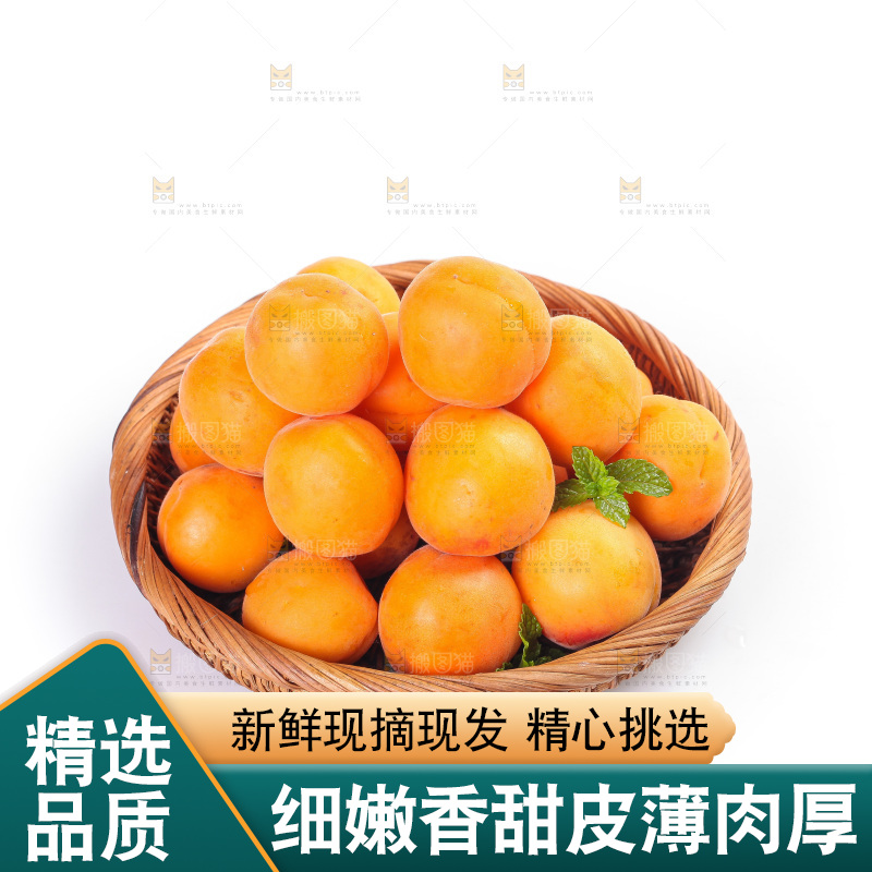 白底上的大黄杏
