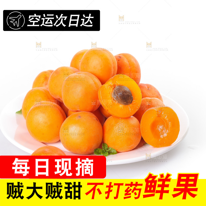 白底上的大黄杏