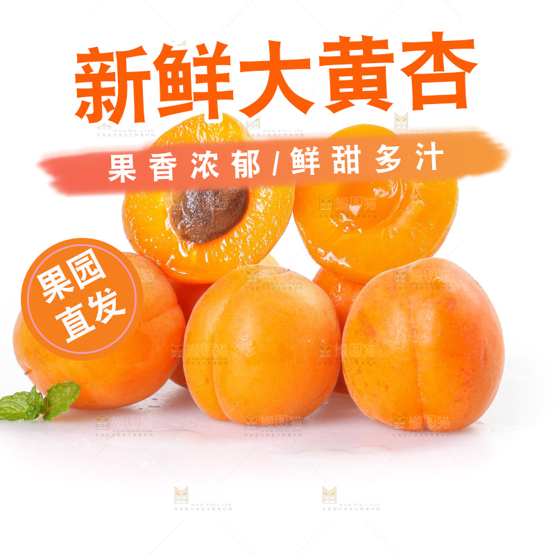白底上的大黄杏