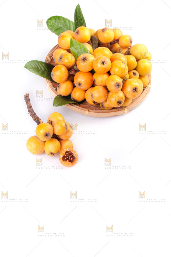 白底上的新鲜枇杷