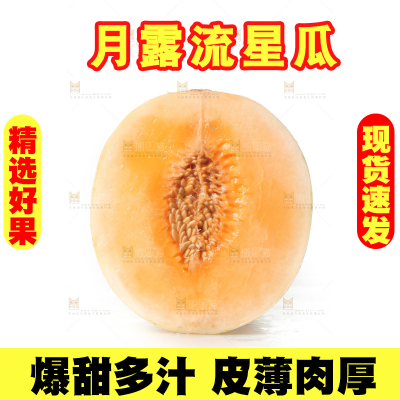 白底上的月露流星蜜瓜