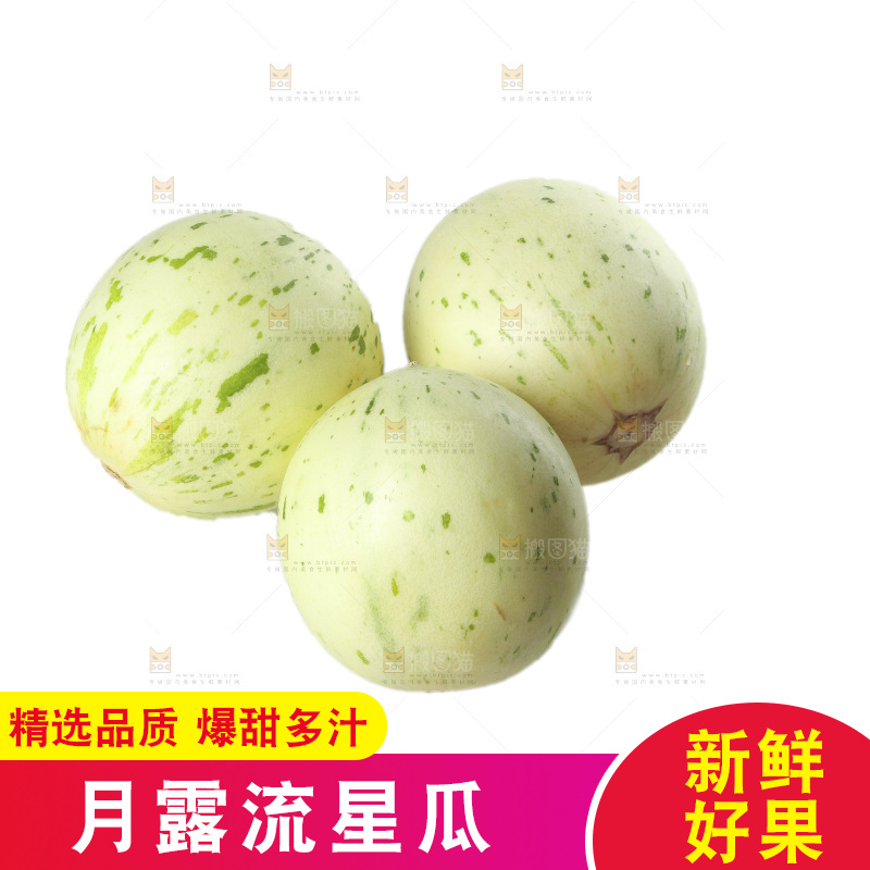 白底上的月露流星蜜瓜