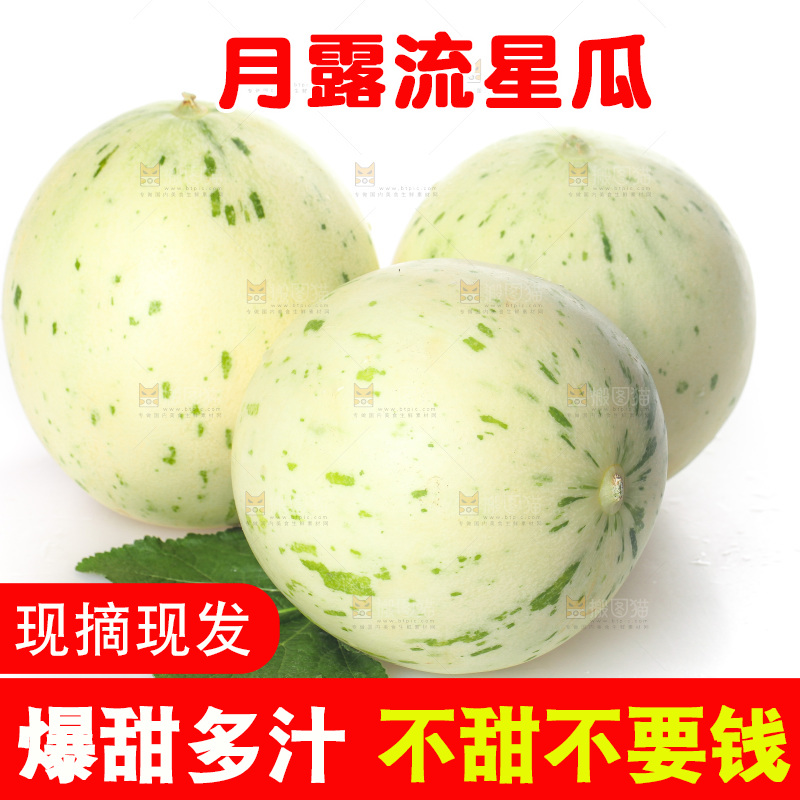 白底上的月露流星蜜瓜