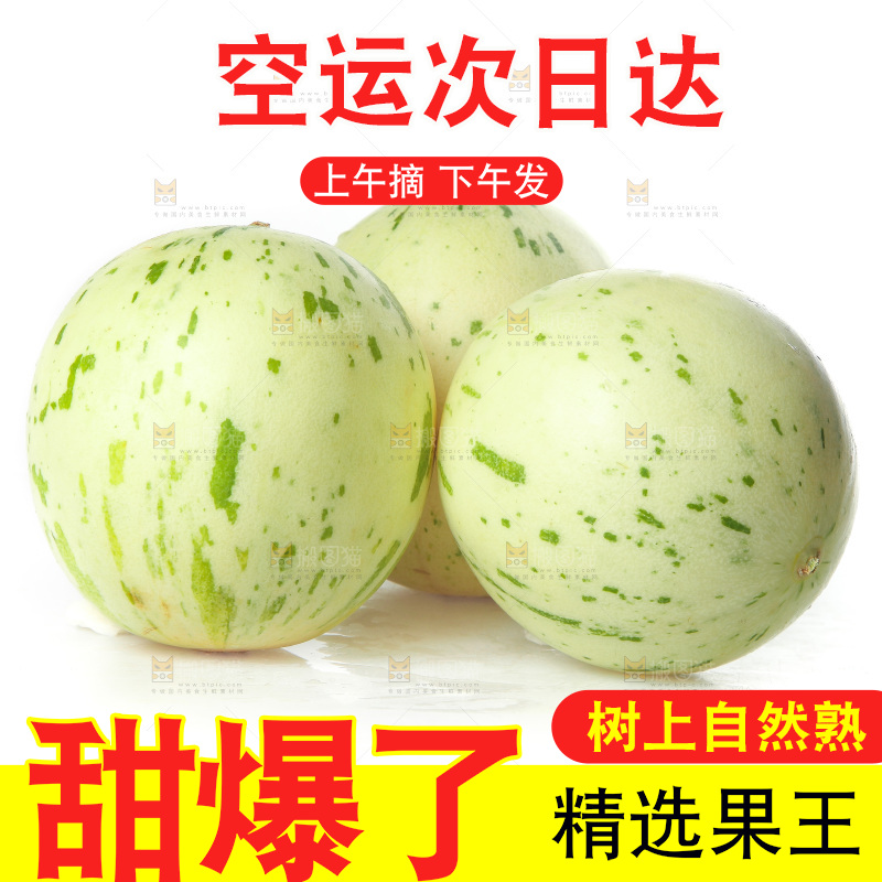 白底上的月露流星蜜瓜