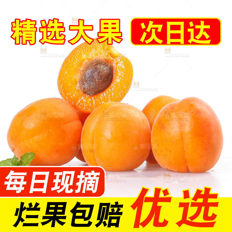 白底上的大黄杏
