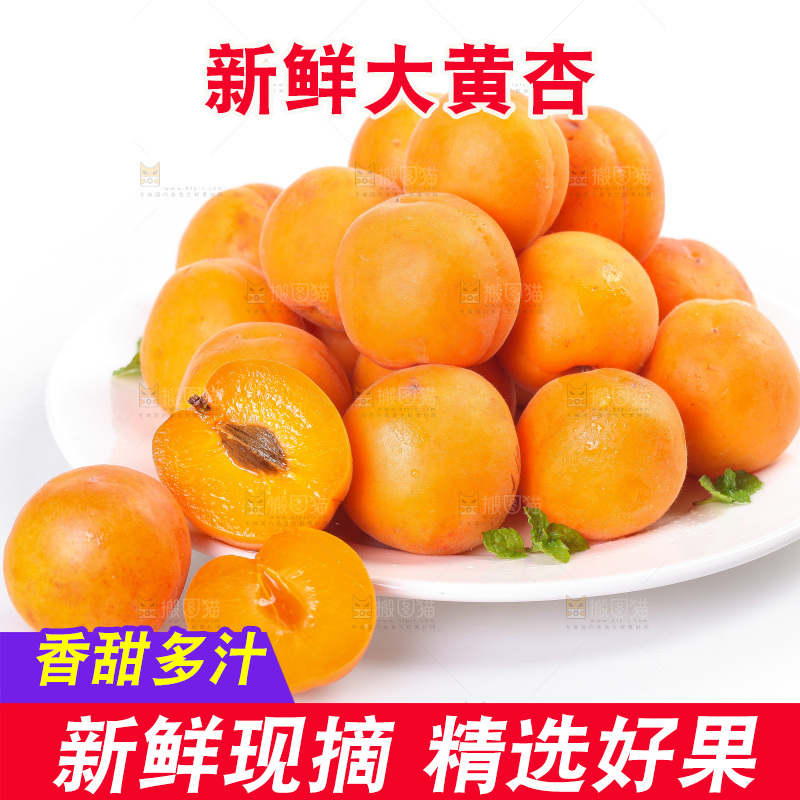 白底上的大黄杏