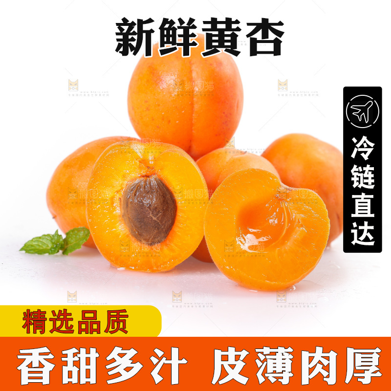 白底上的大黄杏