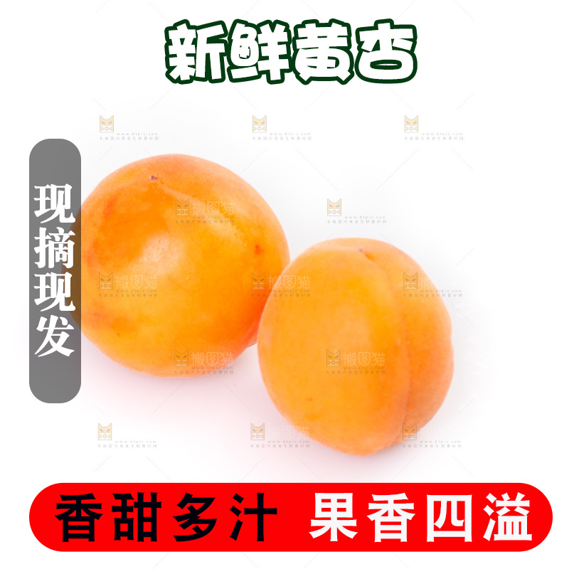 白底上的大黄杏