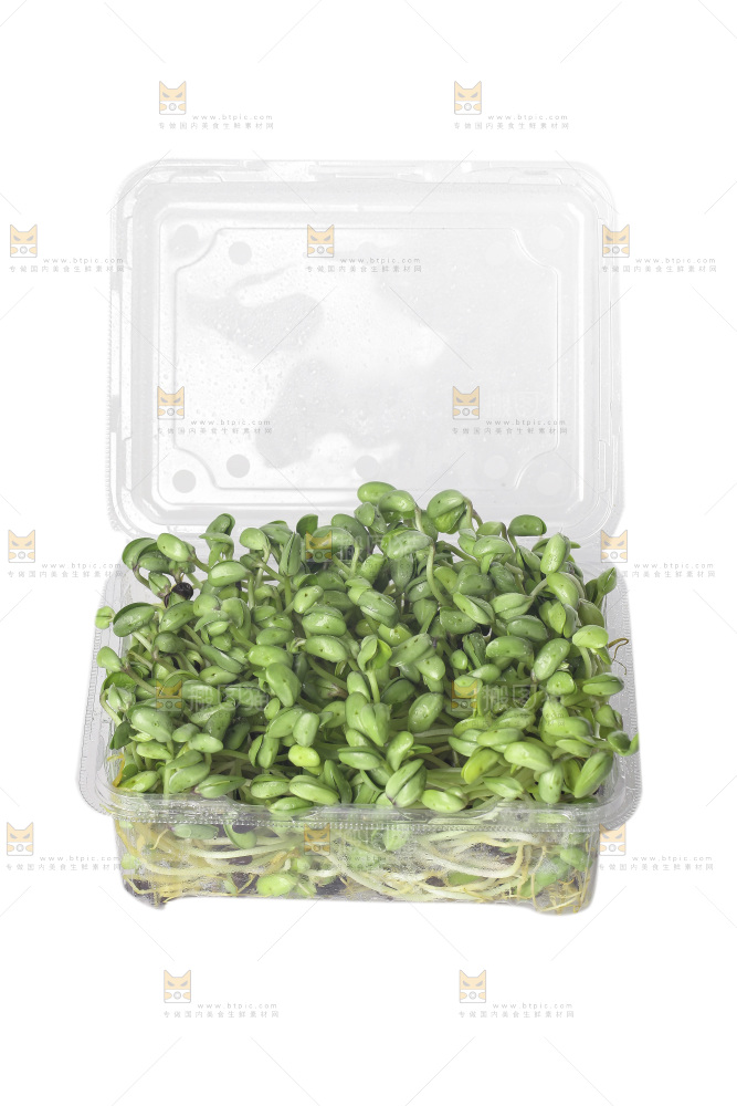 白底上的黑豆芽