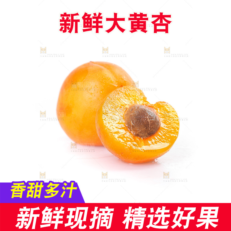 白底上的大黄杏