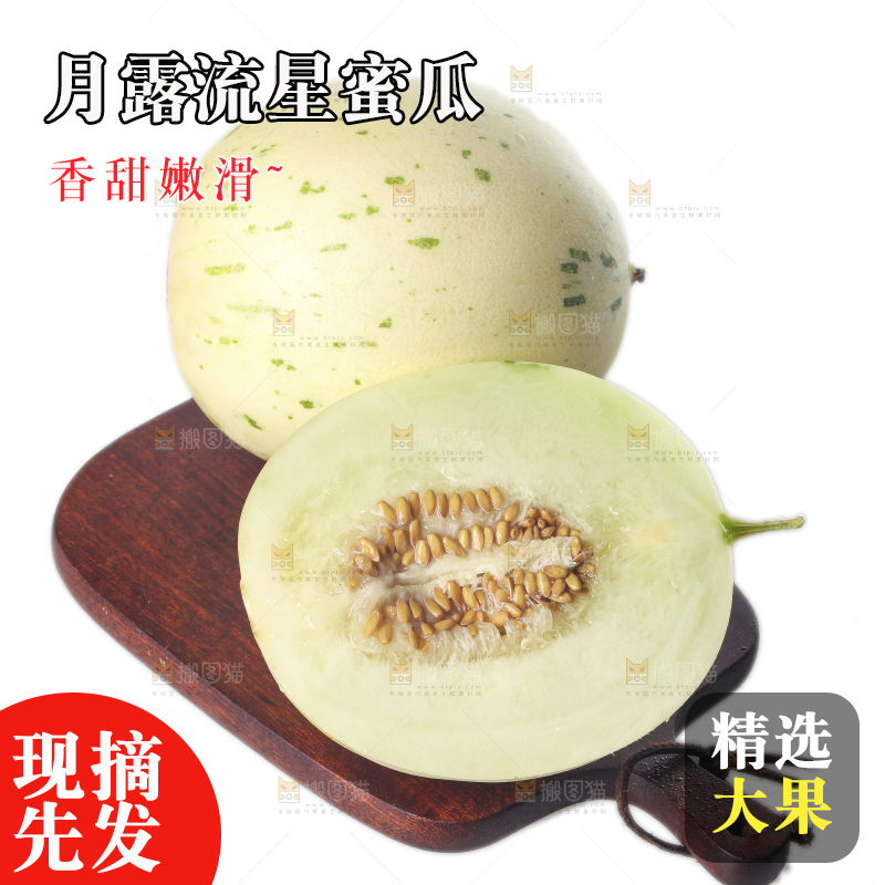白底上的月露流星蜜瓜