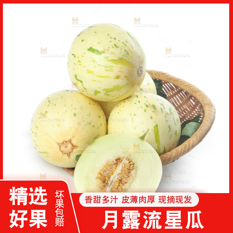 白底上的月露流星蜜瓜