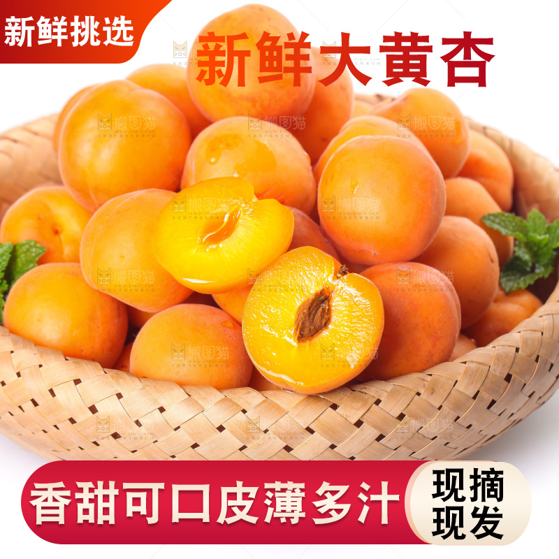白底上的大黄杏