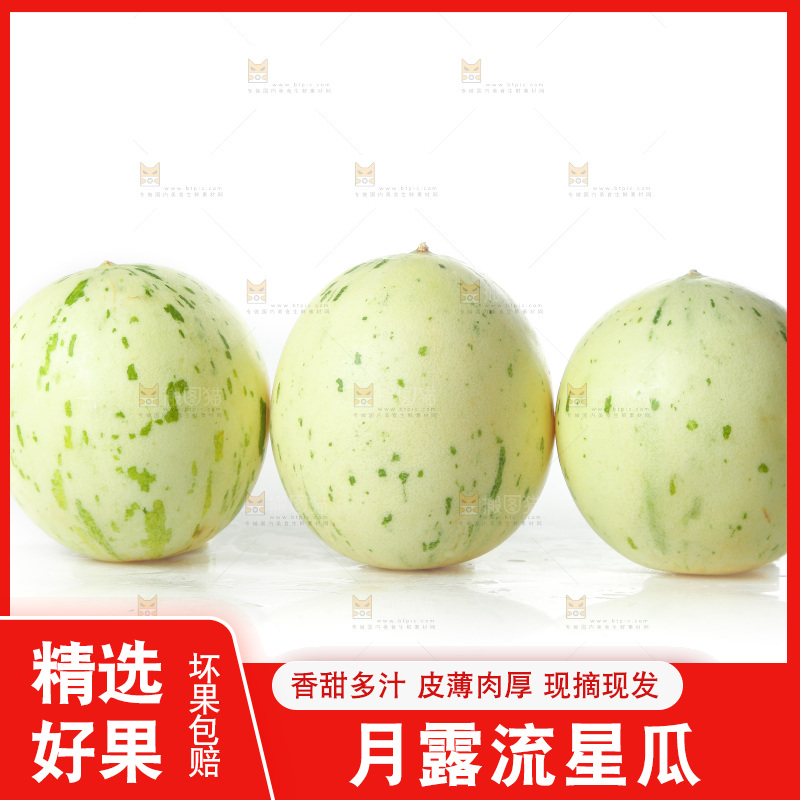 白底上的月露流星蜜瓜