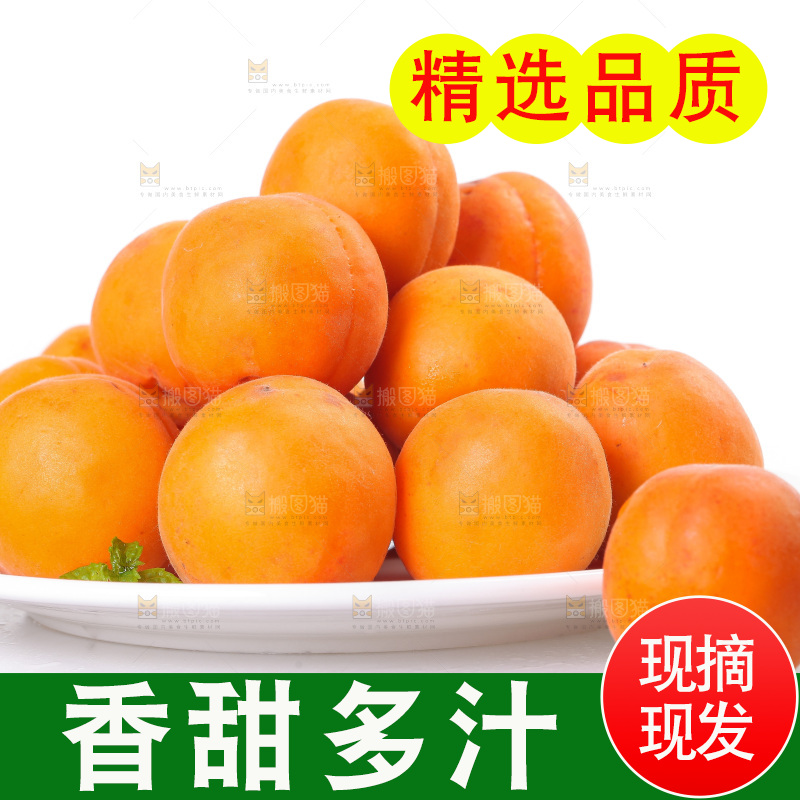 白底上的大黄杏
