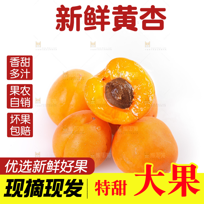 白底上的大黄杏