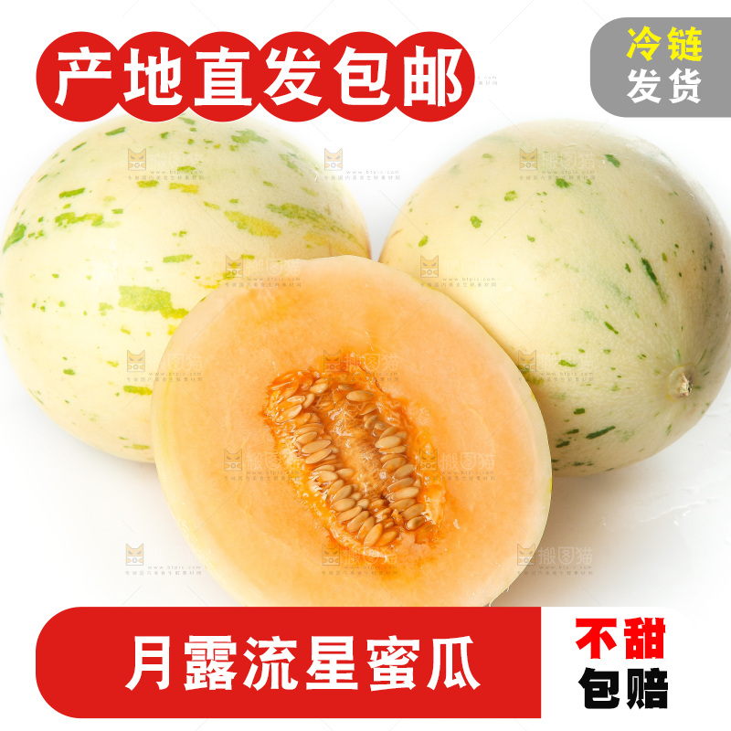 白底上的月露流星蜜瓜