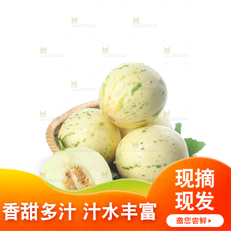 白底上的月露流星蜜瓜