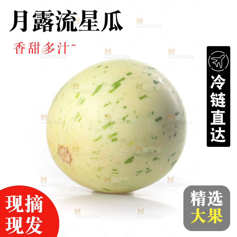 白底上的月露流星蜜瓜