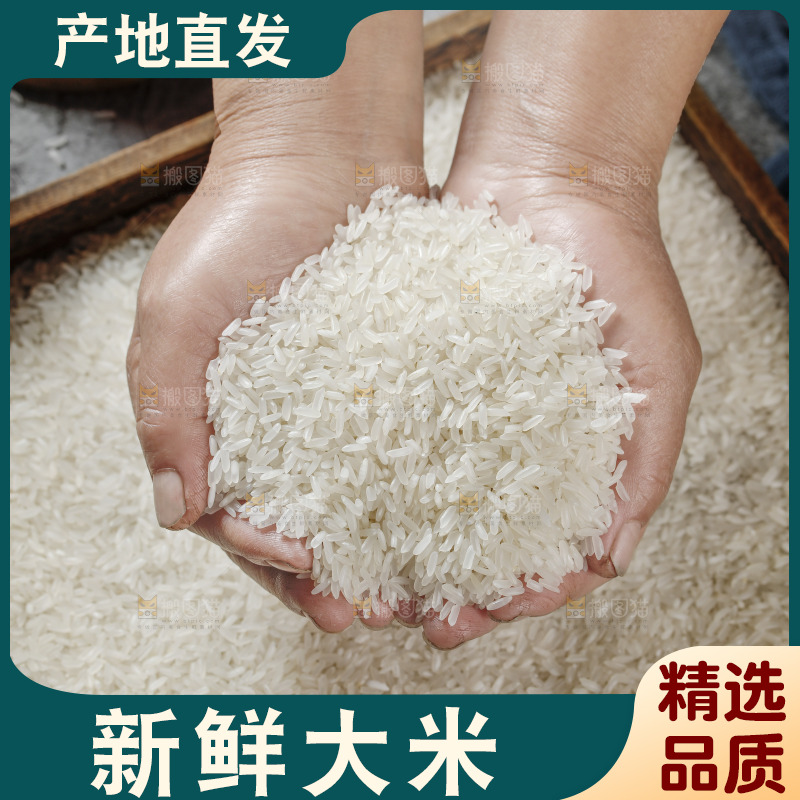 深底上的五常大米