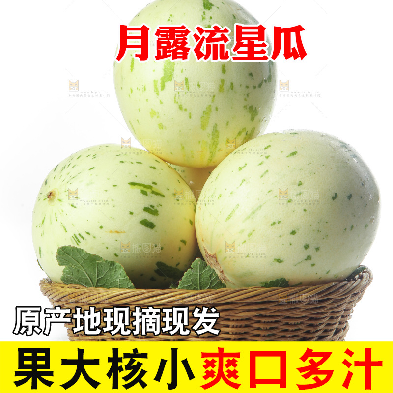 白底上的月露流星蜜瓜
