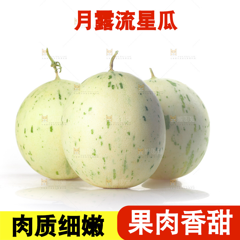 白底上的月露流星蜜瓜