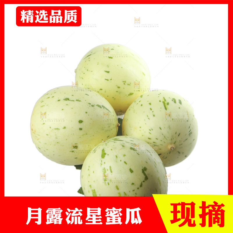 白底上的月露流星蜜瓜