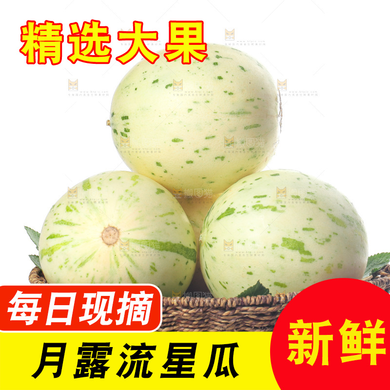 白底上的月露流星蜜瓜