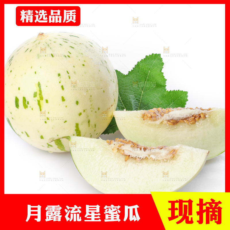 白底上的月露流星蜜瓜