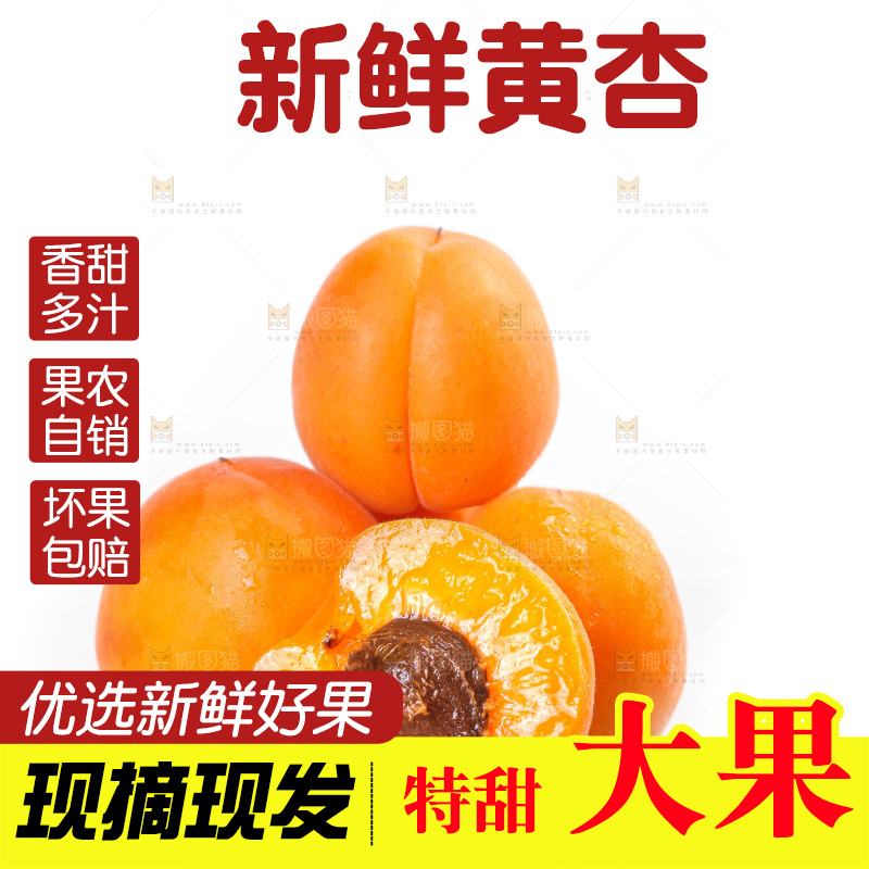白底上的大黄杏