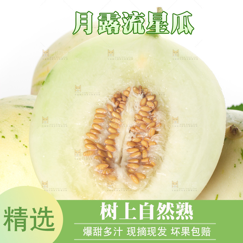 白底上的月露流星蜜瓜