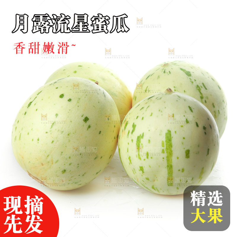 白底上的月露流星蜜瓜