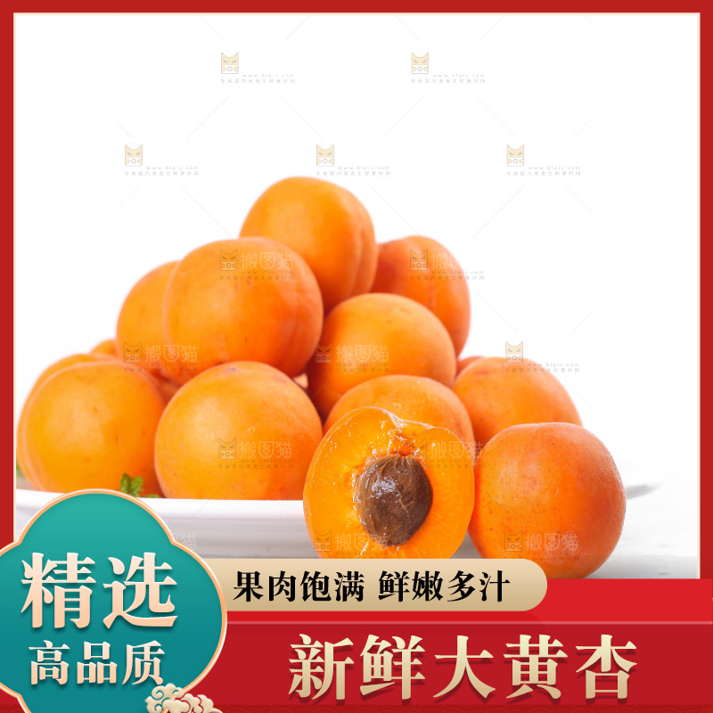 白底上的大黄杏
