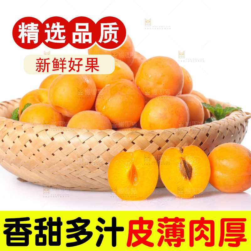 白底上的大黄杏