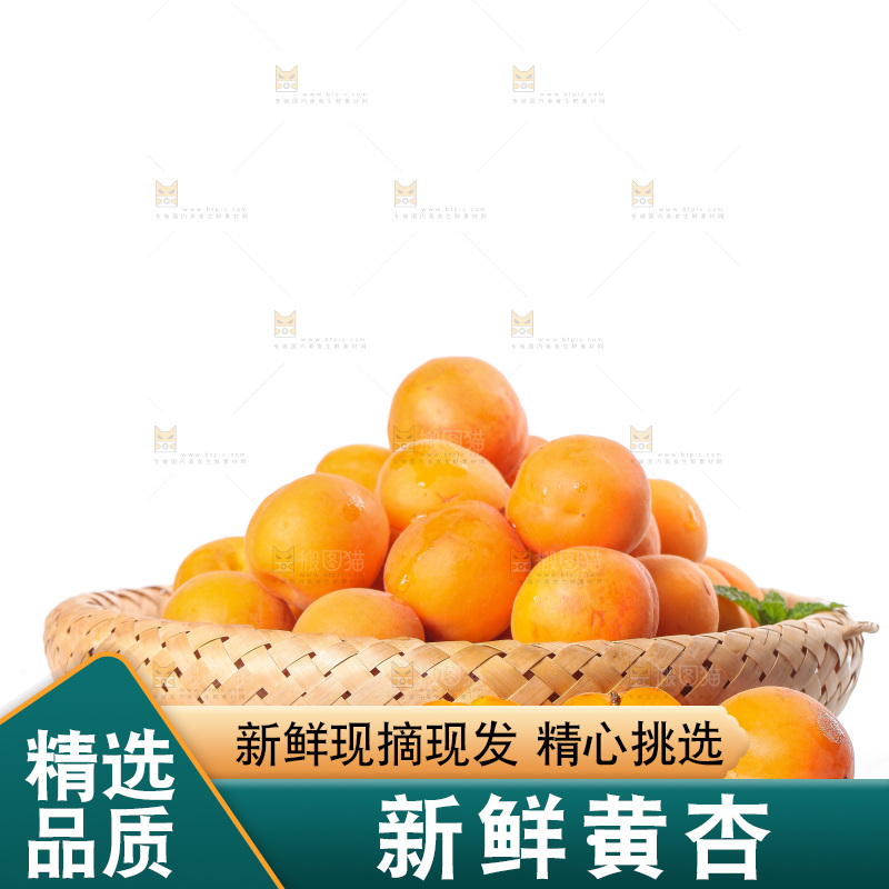 白底上的大黄杏