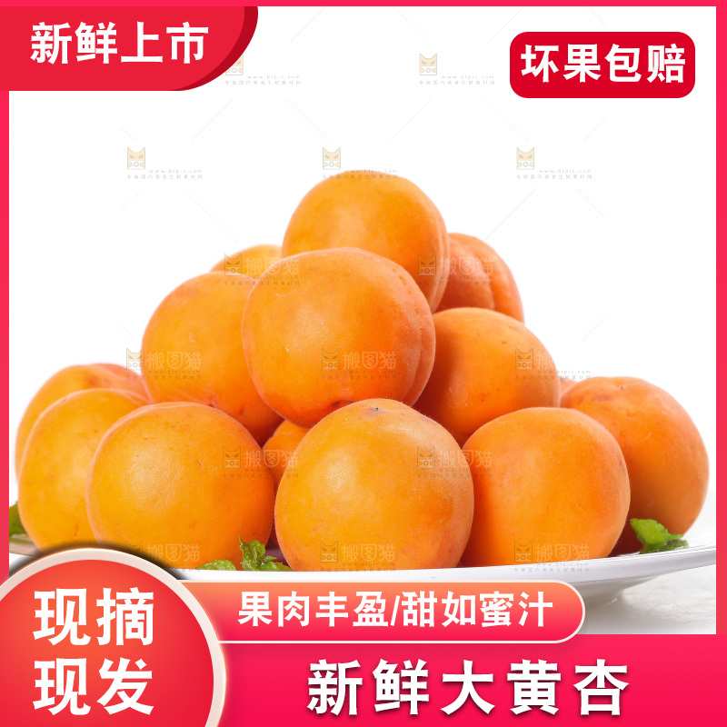 白底上的大黄杏