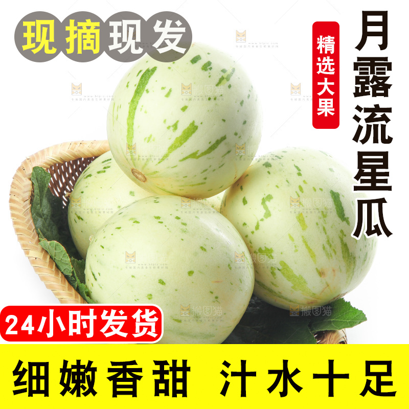 白底上的月露流星蜜瓜