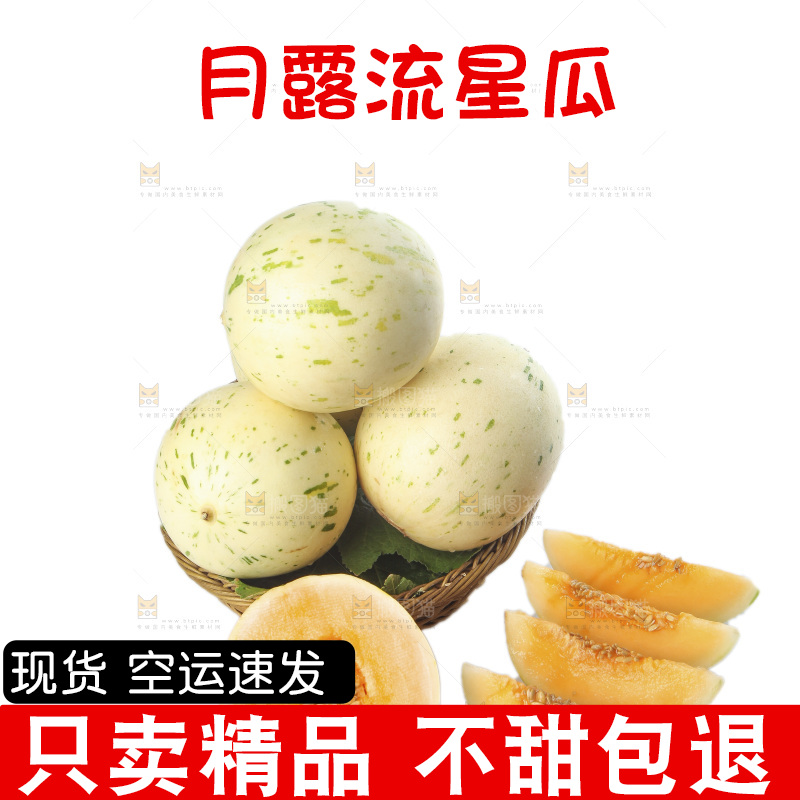 白底上的月露流星蜜瓜