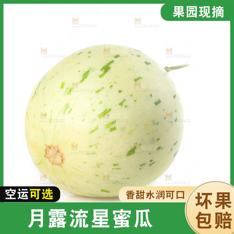 白底上的月露流星蜜瓜