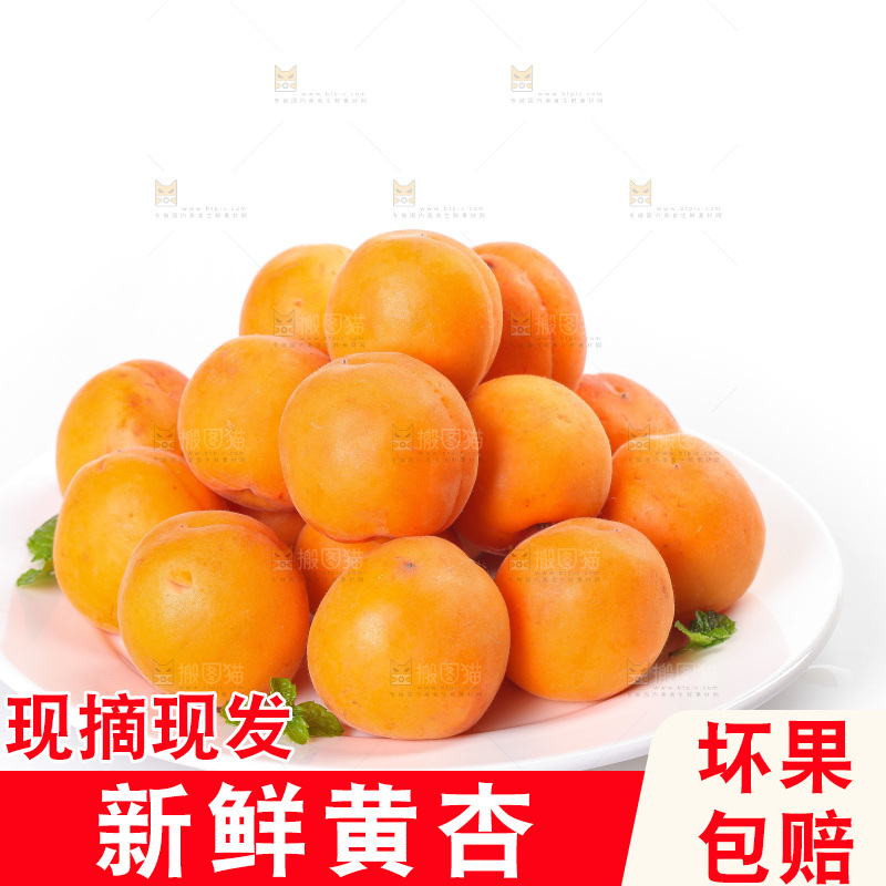 白底上的大黄杏