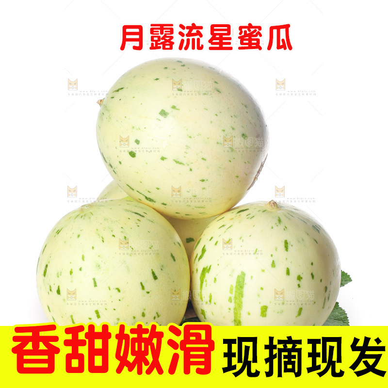 白底上的月露流星蜜瓜