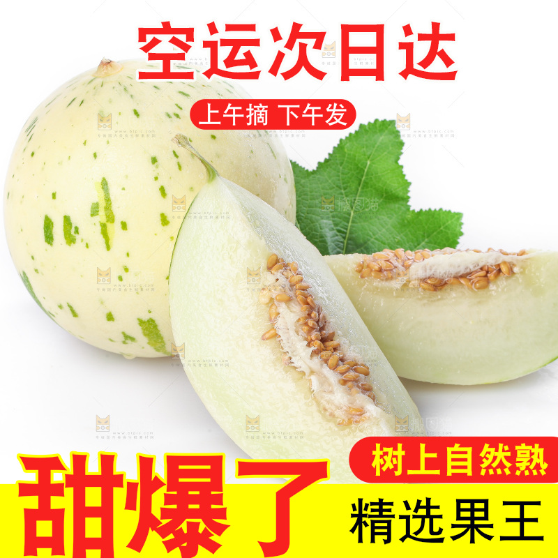 白底上的月露流星蜜瓜