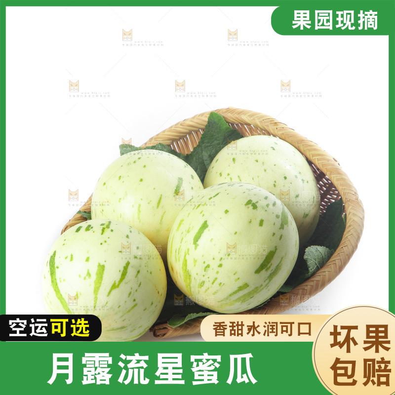 白底上的月露流星蜜瓜