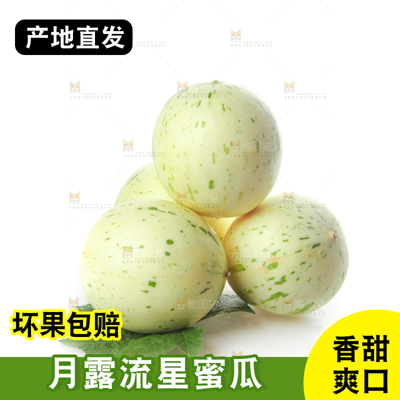 白底上的月露流星蜜瓜