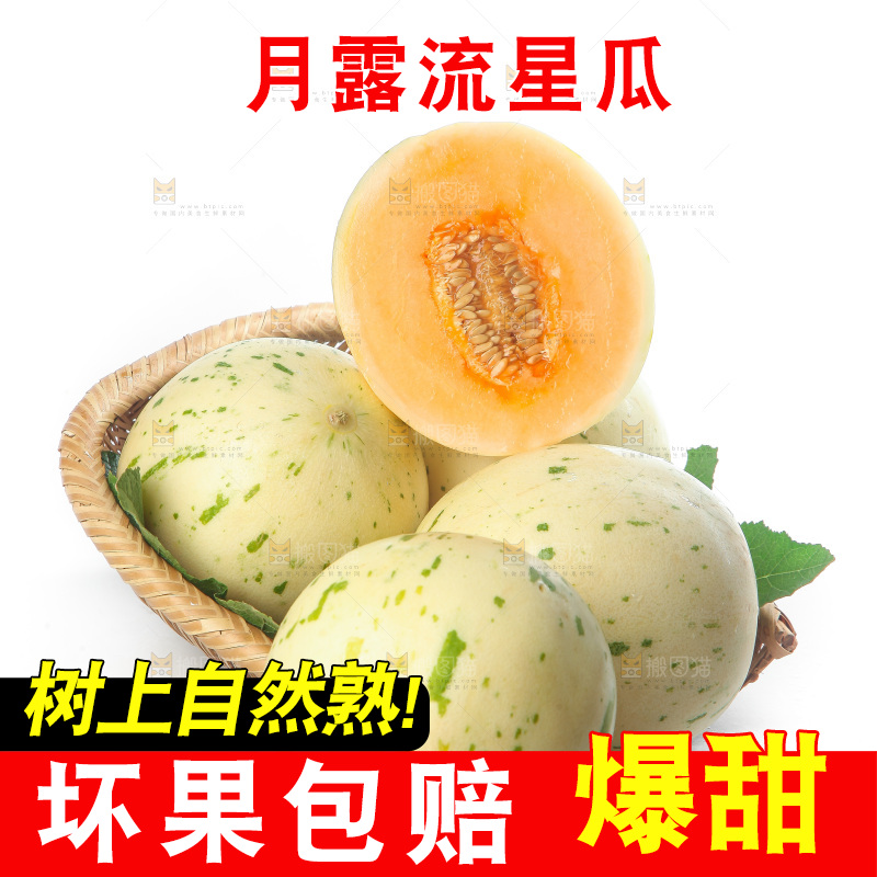 白底上的月露流星蜜瓜