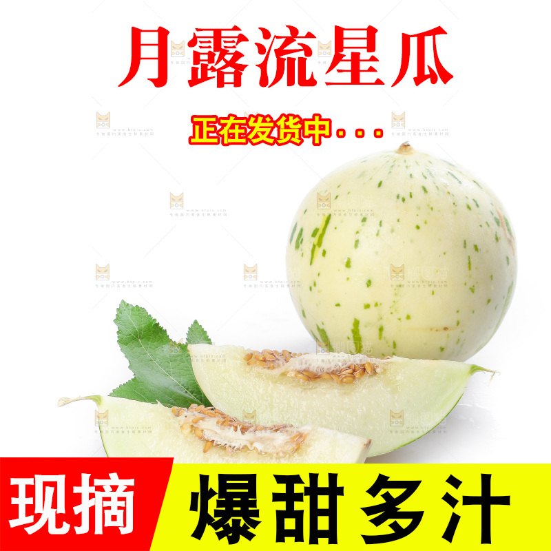 白底上的月露流星蜜瓜