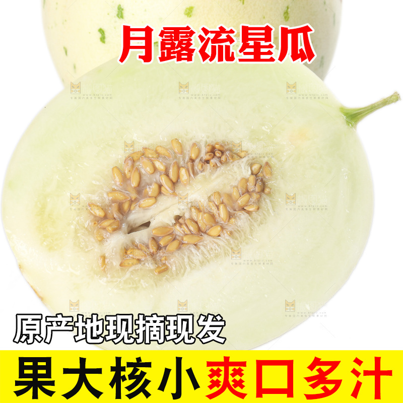 白底上的月露流星蜜瓜